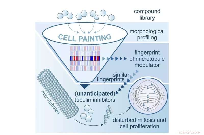 Morphological Fingerprinting: Enhancing Drug Discovery by Identifying Side Effects and Novel Bioactive Compounds