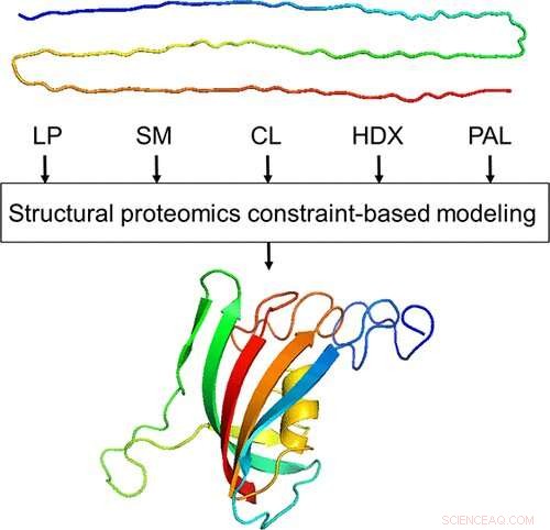 Structural Proteomics: Transforming Neurodegenerative Disease Therapies