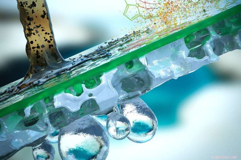 KAUST Engineers Develop Sustainable Composite Membranes from Shrimp Shell Waste