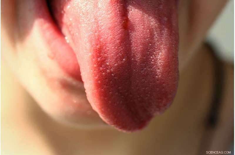 Breakthrough Bioelectronic Tongue Objectively Measures Sweetness