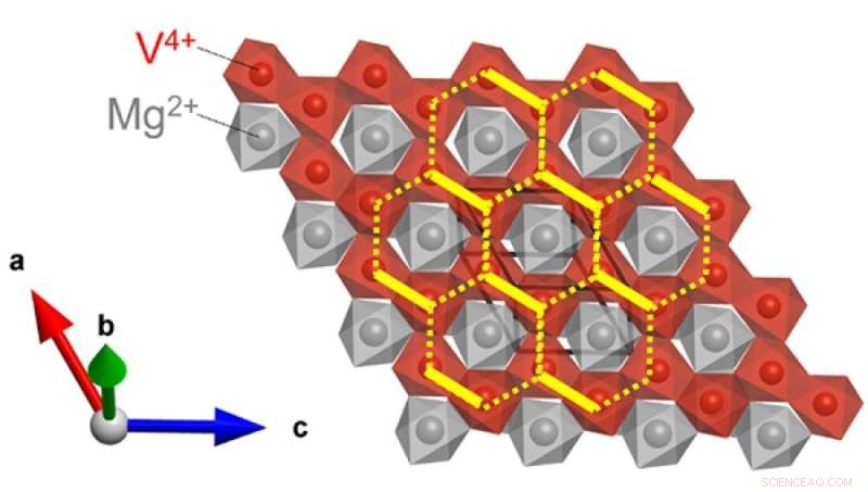 Ion Pairings Transform Honeycomb Crystal States in MgVO3