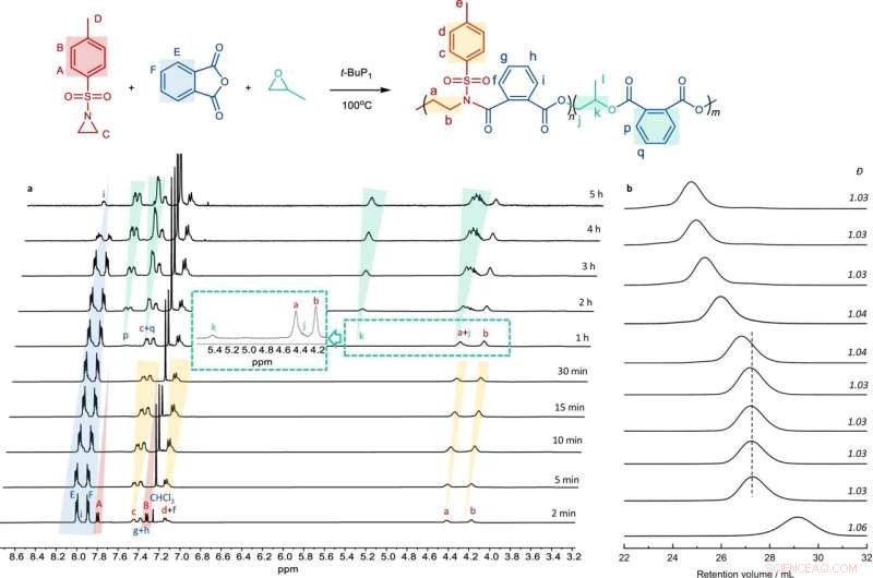 Breakthrough Catalyst Synthesizes Diblock Dialternating Terpolymers from Three Monomers in One Step