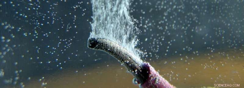 Leiden University Researchers Revise Century-Old Gouy-Chapman Electrochemistry Theory