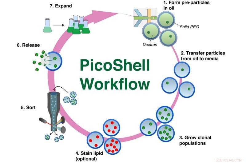 Innovative Picoshell Particles Accelerate Microalgae Growth for Sustainable Biofuel Production
