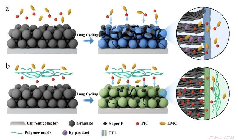 Selective Membrane Breakthrough Advances Dual-Ion Battery Commercialization