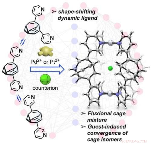 Researchers Tame Bullvalene: A Breakthrough in Shape-Shifting Molecule Control