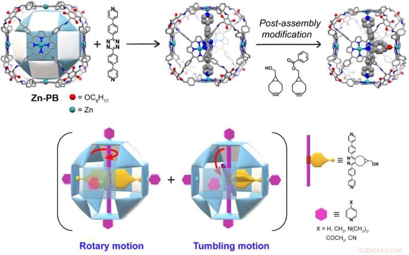 Encapsulating Molecular Machines: Design and Functional Applications