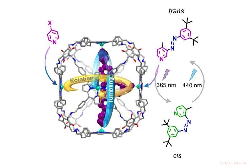 Encapsulating Molecular Machines: Design and Functional Applications