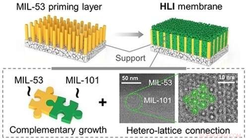 Hetero-Lattice Intergrown MOF Membranes: Advancing Polyol Upgrading in Industrial Separation