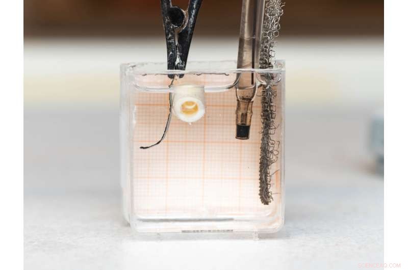 Revolutionary Microrobots Self-Harden Like Bone Using Bio-Inspired Polymers