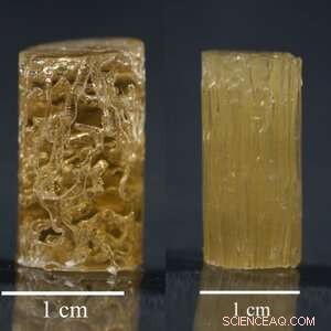 Bioinspired Veins Revolutionize Foamed Polymers: Dual-Function Innovation from University of Illinois