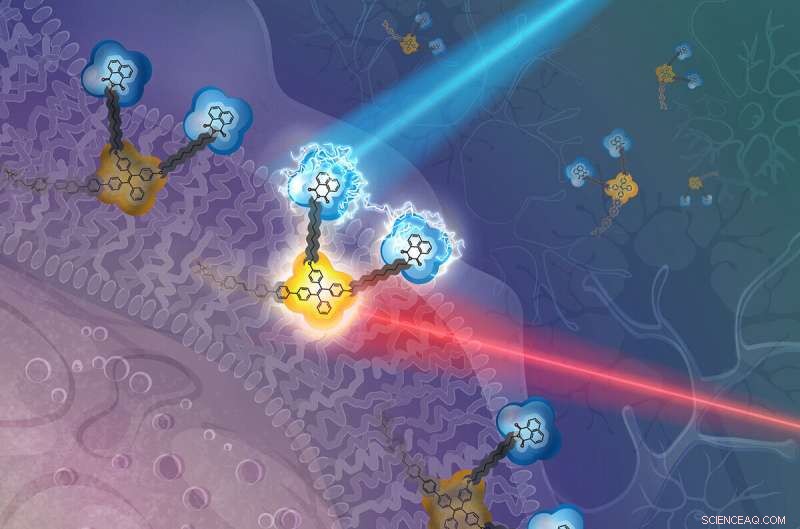 Non-Invasive Molecular Device Safely Records and Alters Cellular Bioelectric Fields