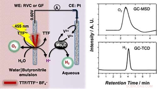 EPFL Engineers Advance Artificial Photosynthesis for Efficient Clean Hydrogen Production