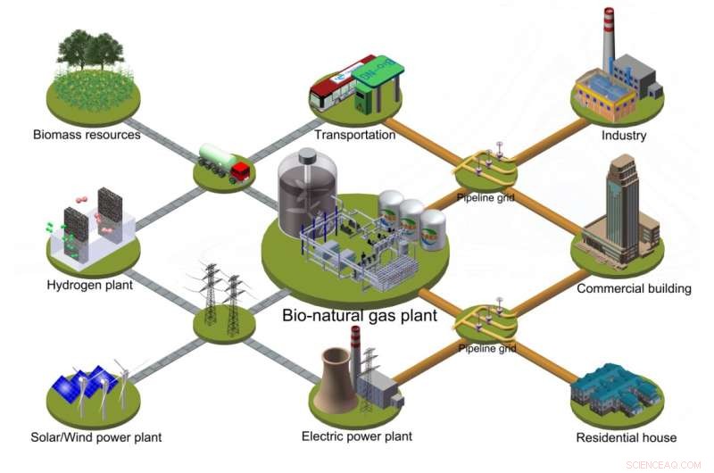 Revolutionary Catalytic Process Converts Raw Biomass Directly to Clean Natural Gas