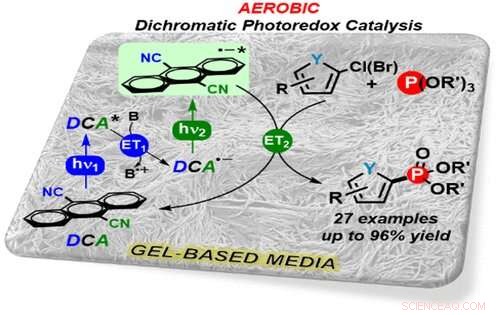 Photosynthesis-Innovation: Sustainable, Efficient Chemical Synthesis for Industry