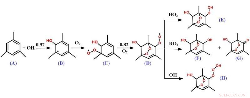 O2-Bridged Bicyclic Compounds: Central to Secondary Organic Aerosol Formation from VOCs