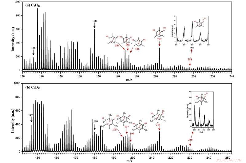 O2-Bridged Bicyclic Compounds: Central to Secondary Organic Aerosol Formation from VOCs