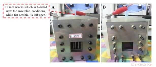 Innovative Rainwater-Driven Microbial Fuel Cells for Sustainable Power in Remote Areas