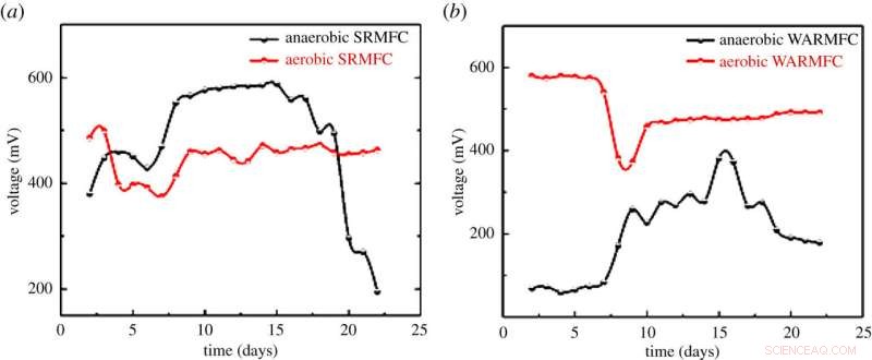 Innovative Rainwater-Driven Microbial Fuel Cells for Sustainable Power in Remote Areas