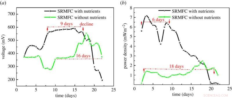 Innovative Rainwater-Driven Microbial Fuel Cells for Sustainable Power in Remote Areas