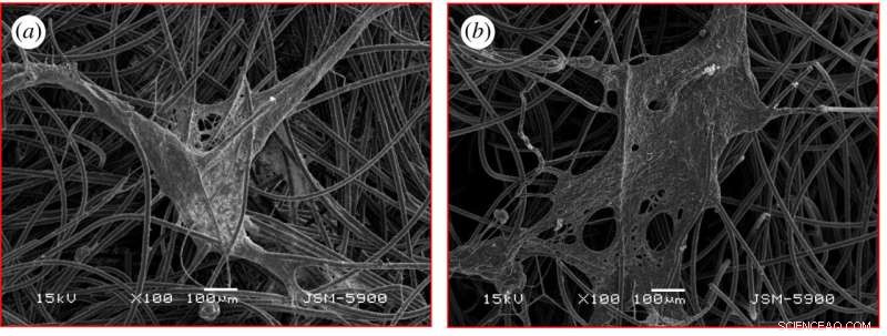 Innovative Rainwater-Driven Microbial Fuel Cells for Sustainable Power in Remote Areas