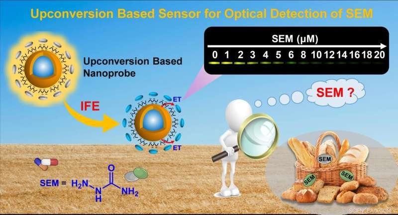 Revolutionary Upconversion Nanoparticle Sensors for Ultra-Sensitive Detection of Semicarbazide and Heparin