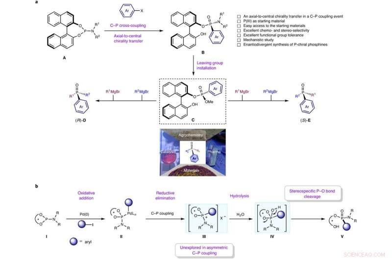 Palladium-Catalyzed Stereoselective C-P Coupling for Efficient Synthesis of P-Chiral Compounds
