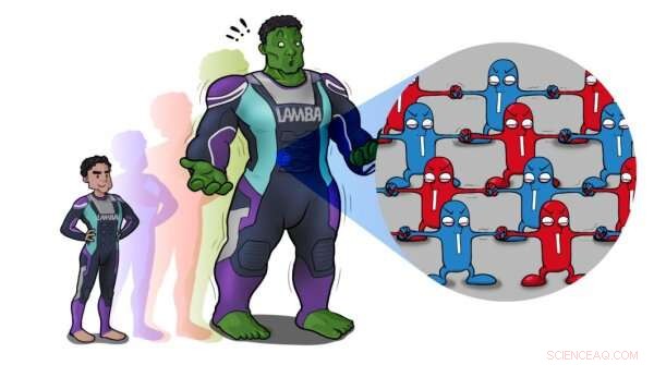 Engineered Adhesion Facilitates Programmed Self-Assembly of Bacteria