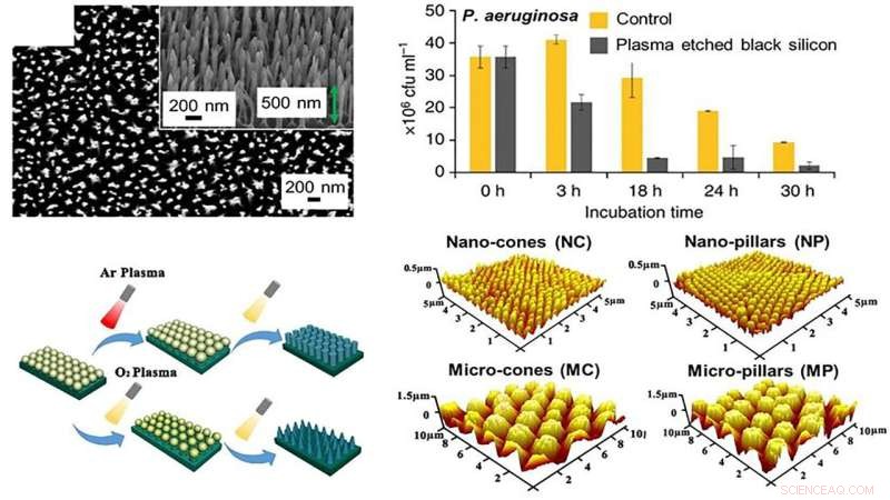 Advanced Plasma Engineering Develops Multi-Functional Surfaces for Contact-Killing, Antifouling, and Drug Release