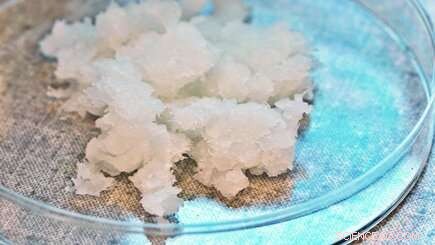 Empa s Sustainable Cellulose Coating Extends Banana Freshness Without Plastic