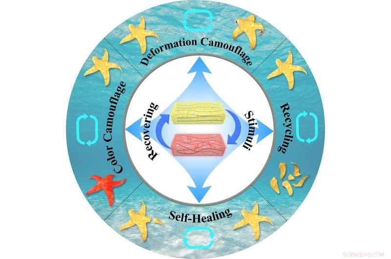Biomimetic Starfish-Inspired Soft Robot with Camouflage, Movement, and Self-Healing