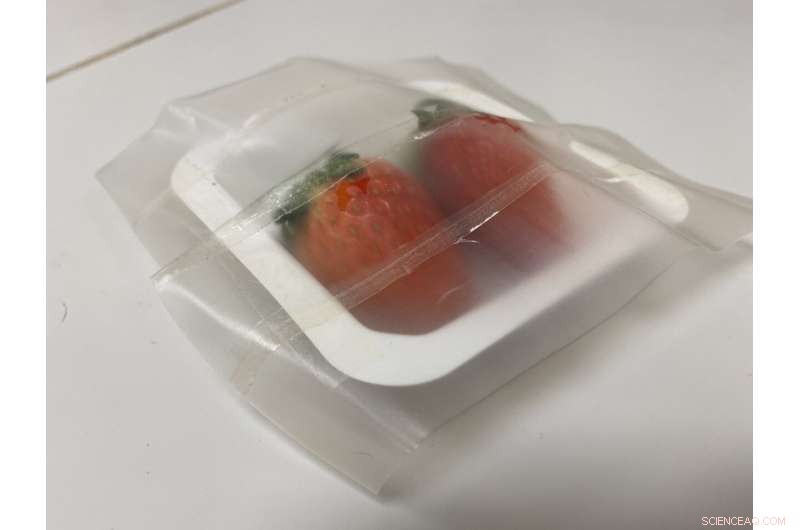NTU-Harvard Sustainable Packaging Extends Strawberry Freshness by Blocking Harmful Microbes