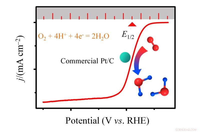 Big Data Meta-Analysis of Commercial Pt/C Sets Standard for ORR Electrocatalyst Evaluation