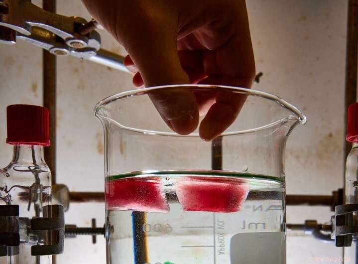 Deuterium-Based Drug Stabilization: Breakthrough Method from University of Bonn