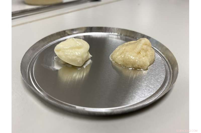 Innovative Plant-Based Emulsifier from NTU Singapore Offers Protein-Rich Alternative to Dairy and Eggs