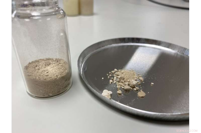 Innovative Plant-Based Emulsifier from NTU Singapore Offers Protein-Rich Alternative to Dairy and Eggs