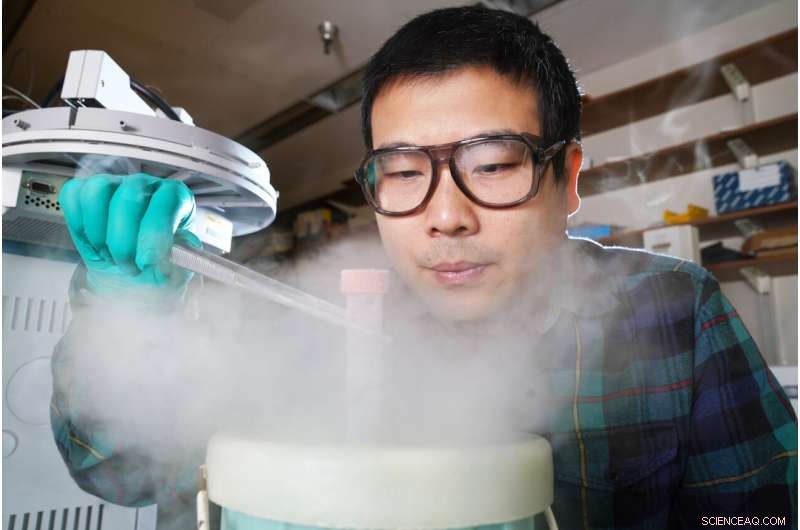 Purdue Scientists Map Biosynthetic Pathway for Anti-Cancer Compound in Thyme and Oregano