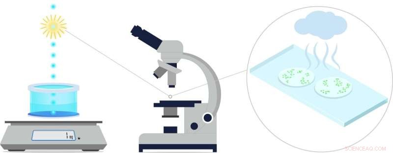 Advancing Optical Microscopy: Precise Volume Measurement of Microdroplets for Virus Research and Ink Jet Applications