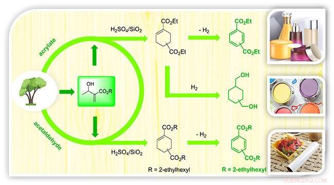 Innovative Biomass-Based Method for Sustainable PCTA Monomer Production