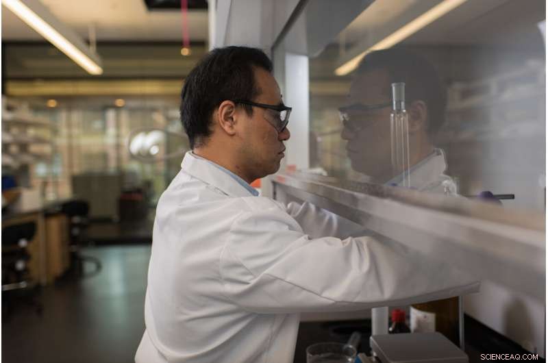 Oregon State University Develops Advanced Catalysts for Efficient, Low-Cost Clean Hydrogen Production