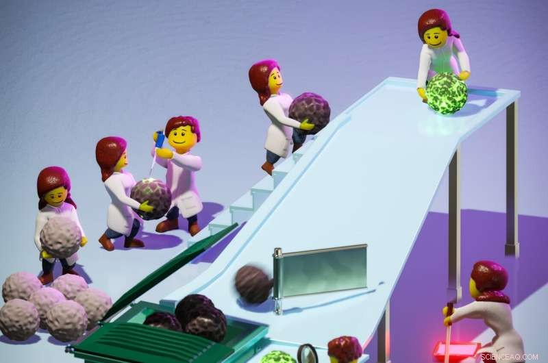 Scientists Develop Advanced Tool to Detect Deactivated Catalysts for Enhanced Efficiency