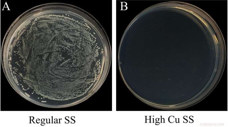 HKU Engineers Develop First Anti-COVID-19 Stainless Steel for Enhanced Surface Safety