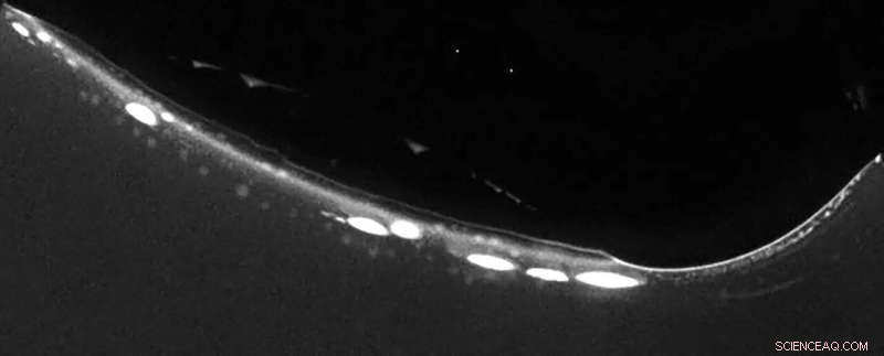 Gas Bubbles in Rock Pores: The Cradle of Early Life on Earth