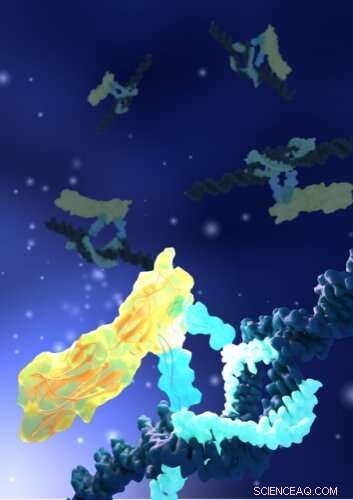 Darwinian Evolution Drives Breakthroughs in Antibody-Based Drug Discovery