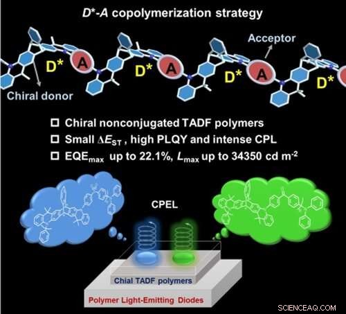 Chiral TADF-Active Polymers: Advancing High-Efficiency Circularly Polarized OLEDs