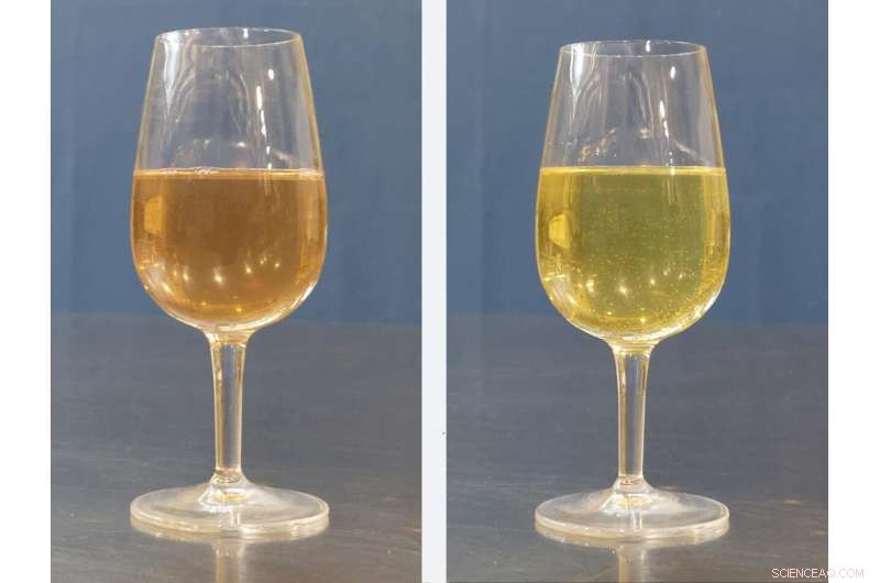 How Modified Mashing Process Elevates Gluten-Free Grains to Brew Quality Beers