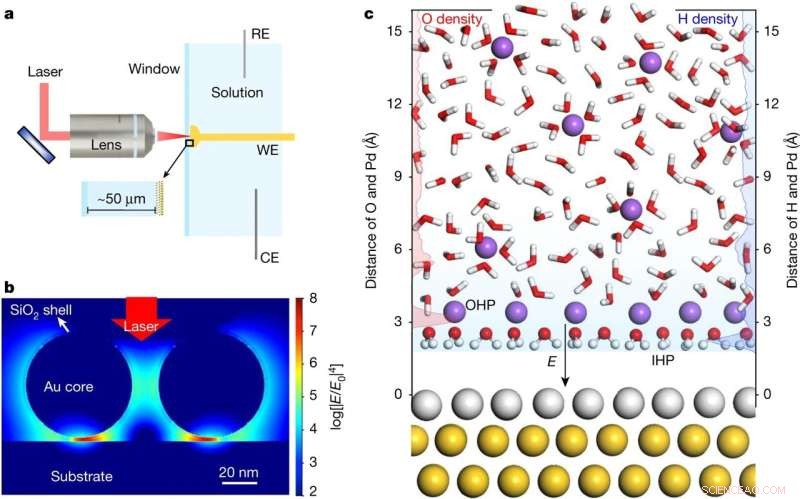 Unveiling Interfacial Water Dynamics on Palladium Single-Crystal Surfaces via Advanced Raman Spectroscopy and Simulations