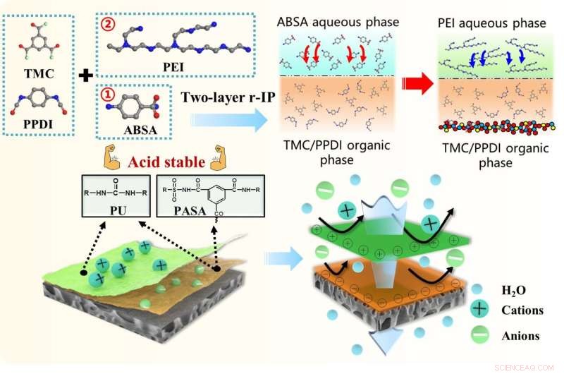 Advanced Dually Charged Acid-Resistant Nanofiltration Membrane for Efficient Ion Separation