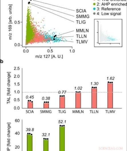 Revolutionizing Enzyme Screening: Metabolic Biosensing Maps Catalysis with Microscale MS