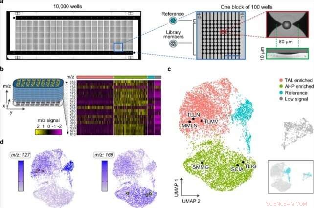 Revolutionizing Enzyme Screening: Metabolic Biosensing Maps Catalysis with Microscale MS
